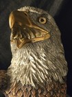 Legends Eagle "SENTINEL" By Kitty Cantrell  Signed - (Artist Proof-AP/2500) — photo 3