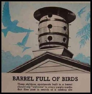Wood Barrel Martin Birdhouse 18 room 1963 How-To build PLANS