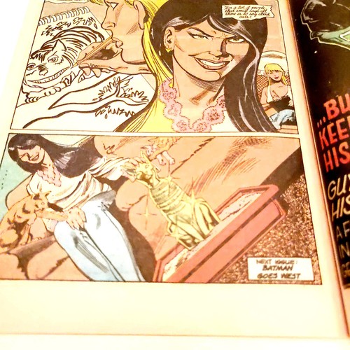 Batman 460-461 by Alan Grant (DC 1991 NM) Two-Issue Catwoman Story - Picture 10 of 11