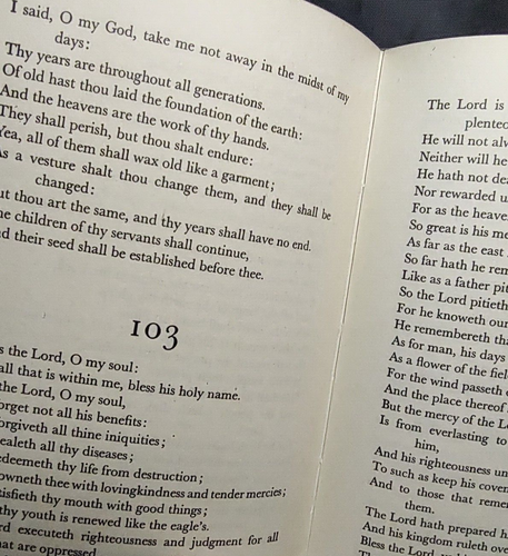 The Book of Psalms Stephen Daye Presbyterian Outlook HB - 第 9/9 張圖片