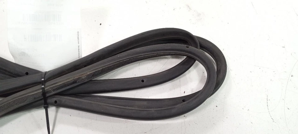 Sello de goma trasero izquierdo Volkswagen Rabbit 2006 2007 2008 2009 Foto 4 de 4