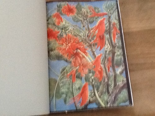 1902 THE UGANDA PROTECTORATE VOL 11- SIR HARRY JOHNSTON HB BOOK- F\POST UK - Picture 4 of 17