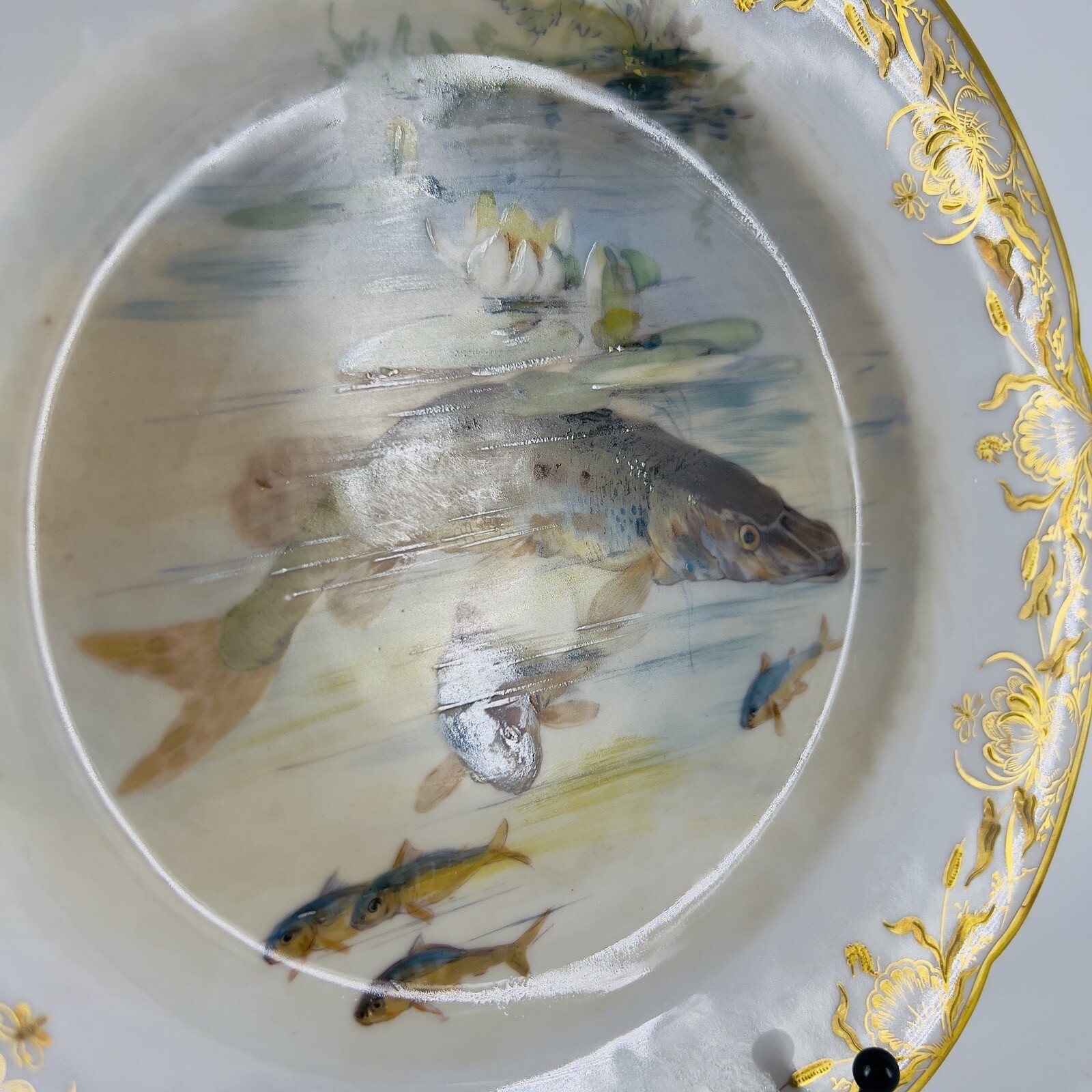 Dresden Ambrosius Lamm Porcelain Hand Painted Fish Dish Plate Gold Gild