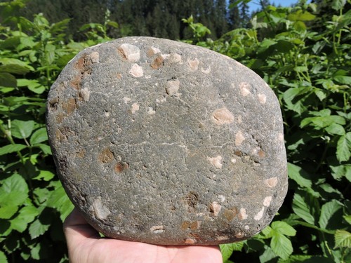 5 lbs+ GALAXY Porphyry Rhyolite Nodule w/ Agate & Chalcedony Inclusions - Picture 14 of 18