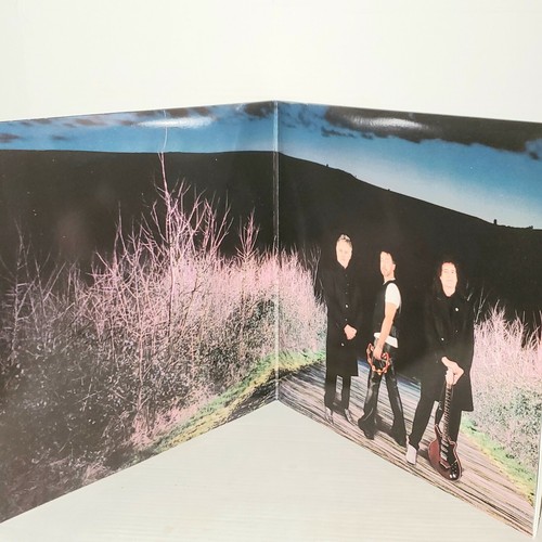 QUEEN + PAUL RODGERS The Cosmos Rocks 2LP VG+ Vinyl Plays Well 2008 D000261601 - Picture 4 of 5