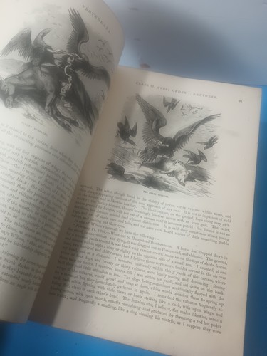 THE ANIMAL KINGDOM ILLUSTRATED, 2 Volumes 1&2 by S. G. Goodrich, 1885 - Picture 10 of 19