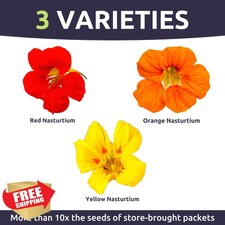 Nasturtium Jewel Mix 1oz Packet 200 Flower Seeds 320.00 per gallon