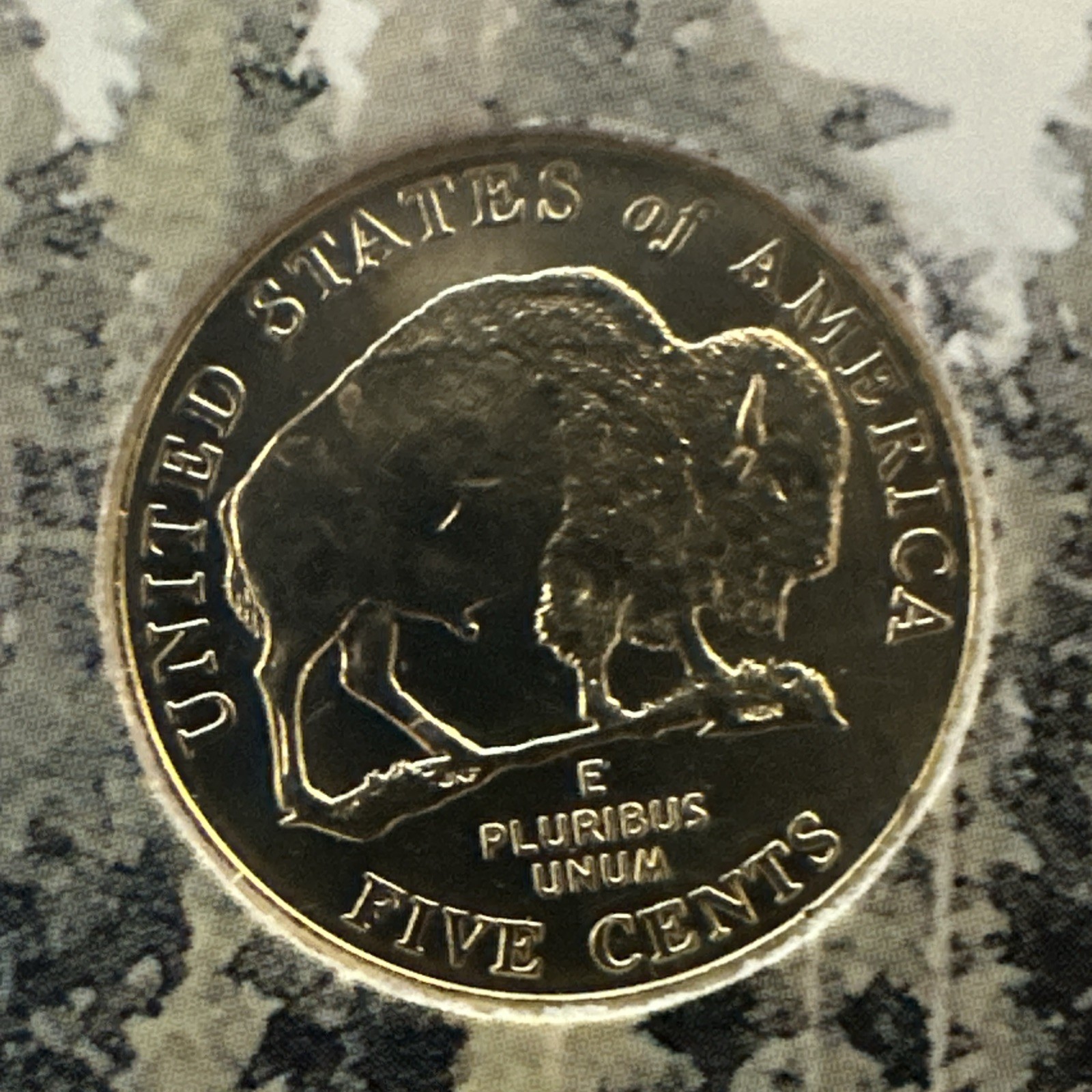 Picture 4 of 11