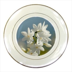 Lemur Porcelain Plate w// Display Stand