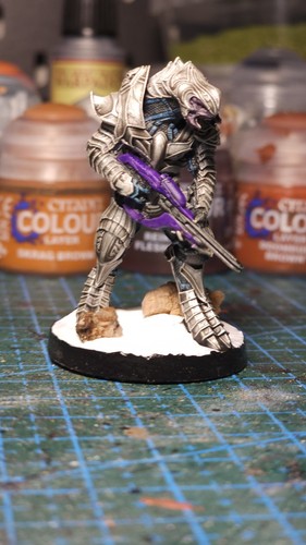 Halo Flashpoint Arbiter