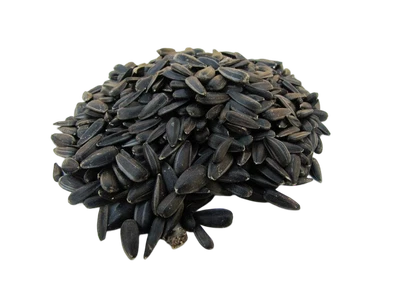 RAIFFEISEN EICHSFELD Sonnenblumenkerne schwarz 12,5kg, aus aktueller regionaler deutscher Ernte