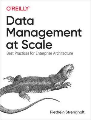 Data Management at Scale: Best Practices for Enterprise Architecture - VERY GOOD