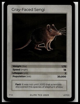 Life Tcg Holo 1st Edition Mammals Mammals Grey-faced Sengi 41/100
