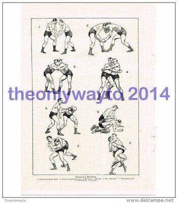 Positions in Wrestling, Book Illustration (Print), c1907 | eBay
