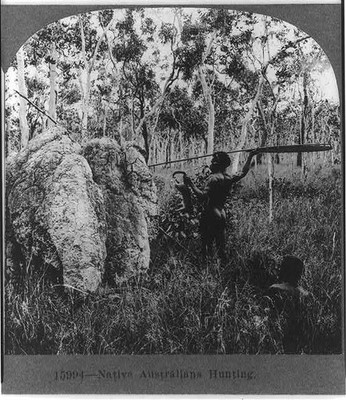 Native Australians hunting,Aboriginal Natives of Australia,Men,Spear,c1919