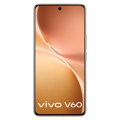 vivo V60 12GB/512GB グローバル版 Buy Vivo V60 Dual SIM 12GB/512GB - Mist Gray (Global)