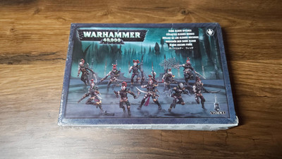Warhammer 40k Drukhari Dark Eldar Wyches