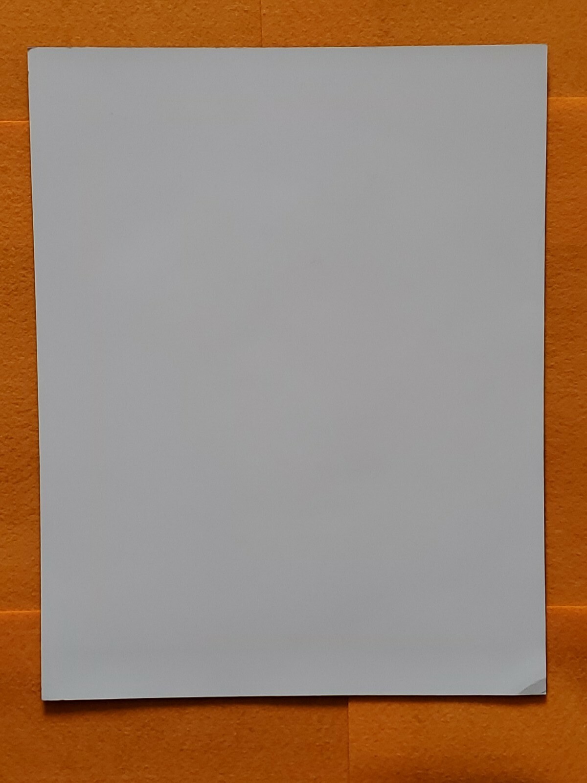 Picture 10 of 12