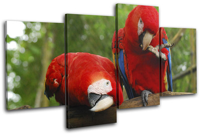 Papagei Vogel Paradies Tiere MULTI LEINWAND WANDBILD Bild Druck