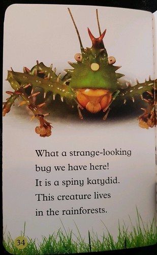 McDonalds Happy Meal DK Reads Little 2015 Bugs Hide & Seek Book by Laura Buller - Picture 3 of 12
