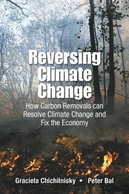 Reversing Climate Change: How Carbon Removals Can Resolve Climate Change And Fix