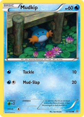 Mudkip, 2014 Primal Clash, Regular, Lightly Played, Pokemon TCG