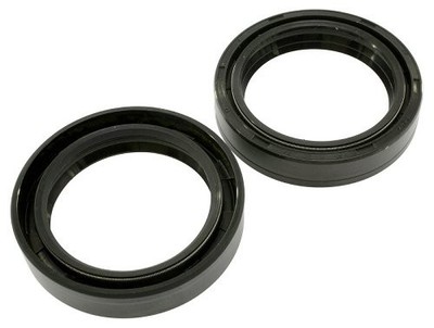 Ari Gabelsimmerringsatz 41x54x11 mm Doppellippe - Ducati 750, 900 SS, SL,