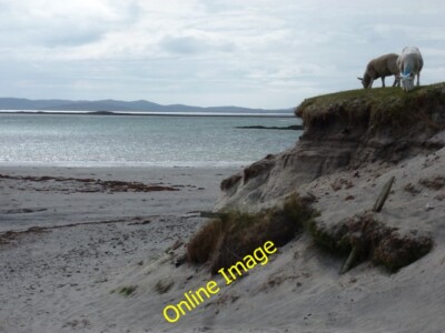 Photo 6x4 Berneray: beachside grazing Ruisigearraidh Two sheep graze abov c2012