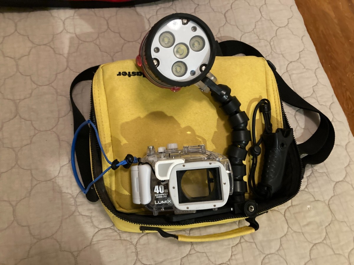 Panasonic Lumix Underwater Housing w/ Strobe; No Camera | eBay