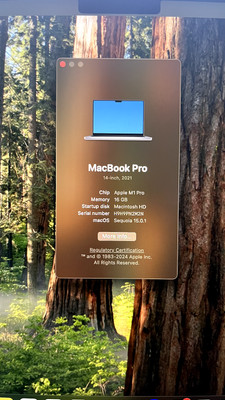 2020 MacBook Pro M1 (16GB RAM, 512GB SSD)   Exceptional Condition