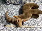 Steiff  12” Ibex Mountain Goat (Capricorn Sign)  with  COA — photo 7