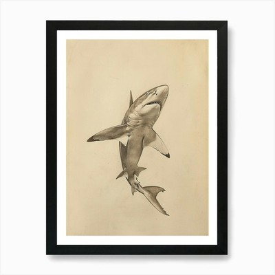 Phoebefy A Pencil Crayon Zeichnung von gerahmtem Wandbild Poster Leinwanddruck Bild