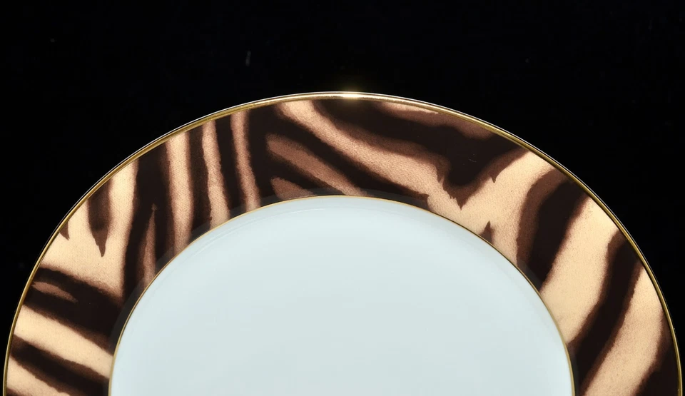 Ralph Lauren Tánger * 2 PLATOS DE CENA * Raya de Tigre, 10 5/8", SIN USAR Foto 3 de 4