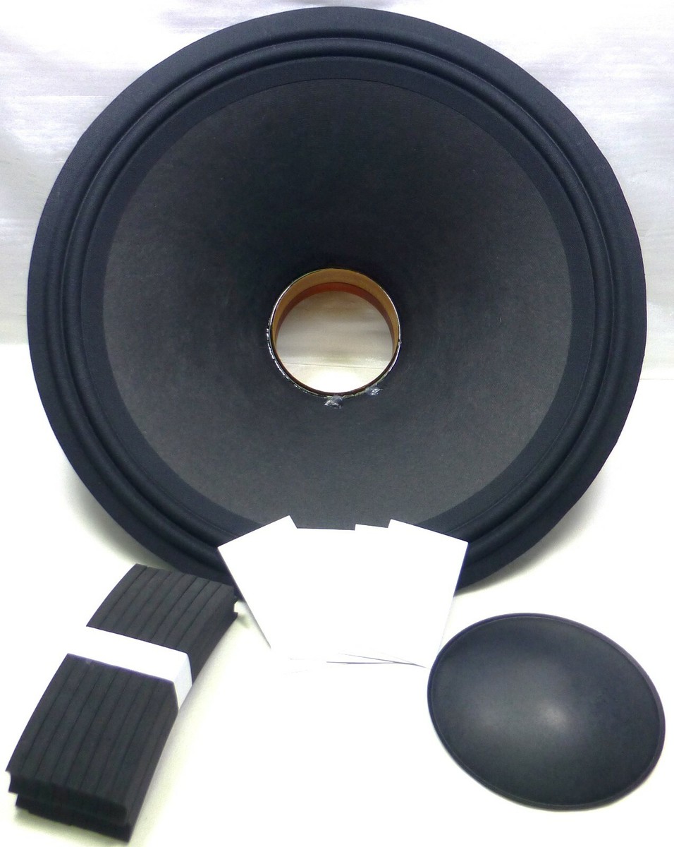 Replacement Yorkville 18ND063-8 & 7465 Neodymium Recone Kit 18
