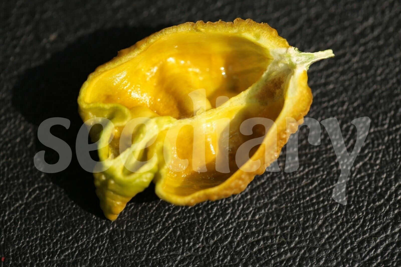 PEPPER X UNOFFICIAL WORLD HOTTEST PEPPER / 3.180.000 SCOVILLE UNITS
