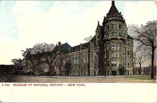 Postcard MUSEUM SCENE New York City New York NY o/19 AI4967
