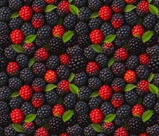 Food Fabric Fruits Veggies Packed Blackberries David Textiles YARD