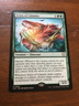 Scion of calamity magic the gathering card MTG