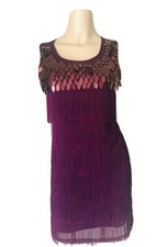Last One! Purple Flapper Dress Fringe Pallet Large 20's costume latin dance 