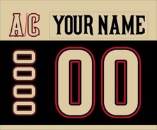 Rockford IceHogs Customized Number Kit for 2014-2015 3rd Uniform