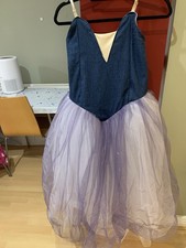 Women’s Princess Fancy Dress Costume Dress Purple Tulle Skirt Blue Bodice