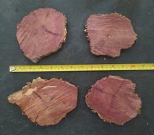  4 4.5"-5.5" Aromatic Red CEDAR 1/2"-3/4" Thick Live Edge Wood Rounds Cookies