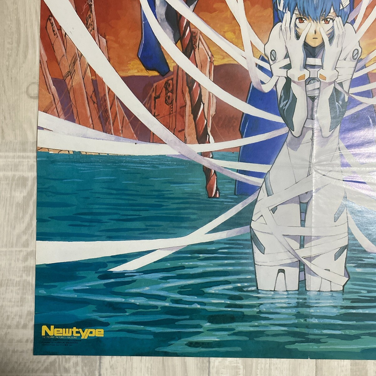 Neon Genesis Evangelion Rei Ayanami & Eva Unit-00 Japanese Anime