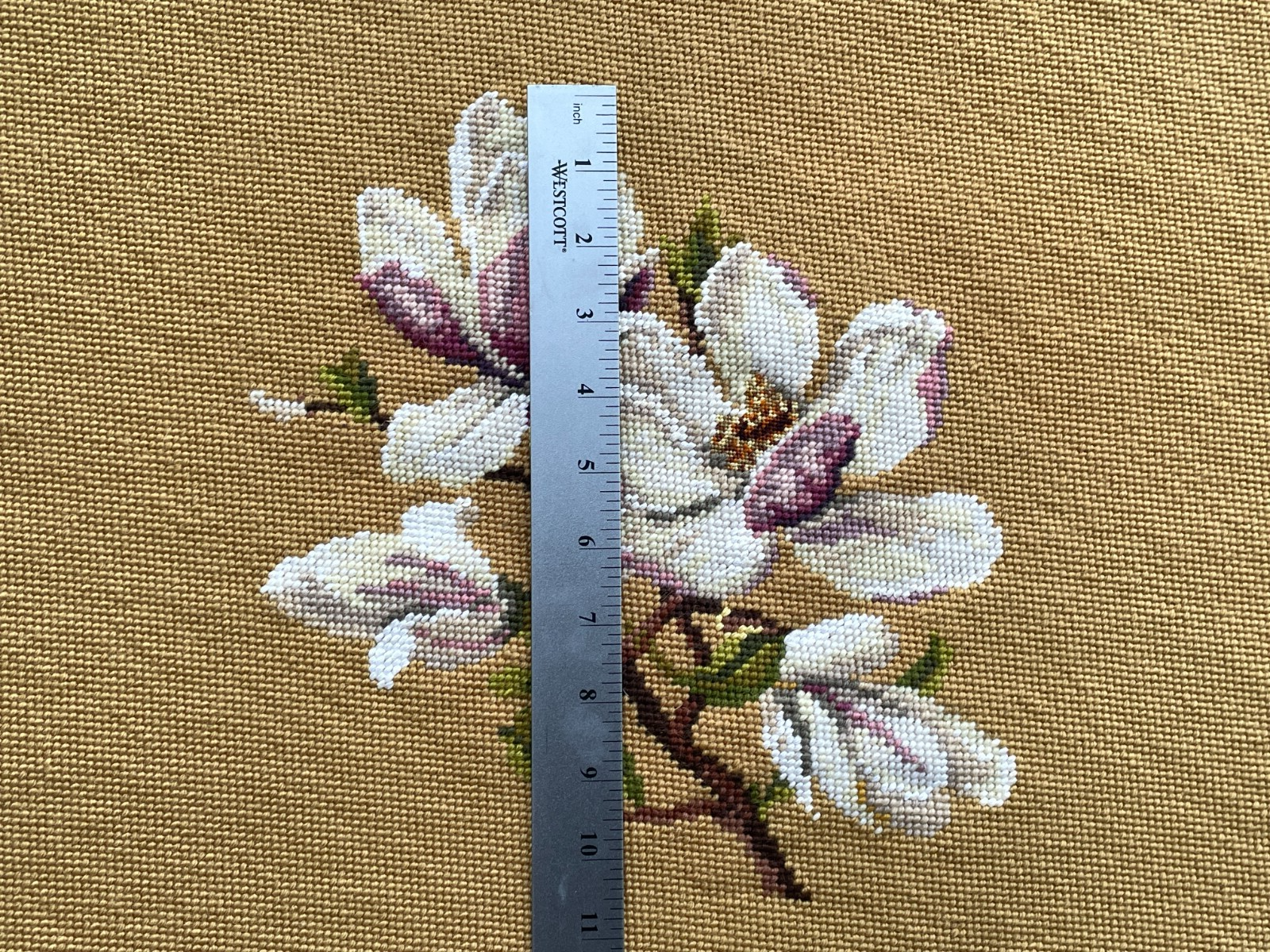 Picture 6 of 15