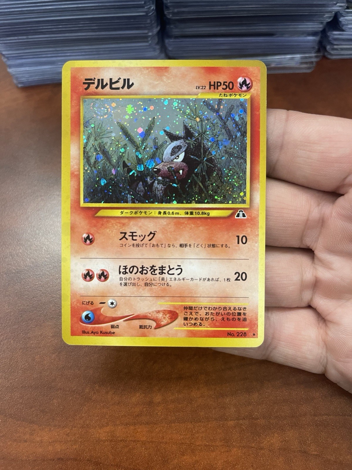 Houndour 228 Crossing the Ruins... (Japanese) Holo Rare Swirl