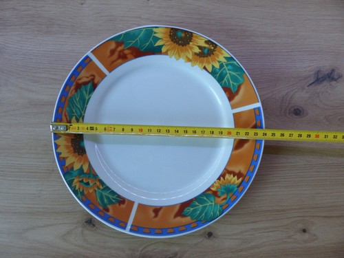 8 Teller, Grillteller, Gartenteller, Flacheteller 24Ø - Bild 2 von 4