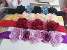 Bild 33 von 37