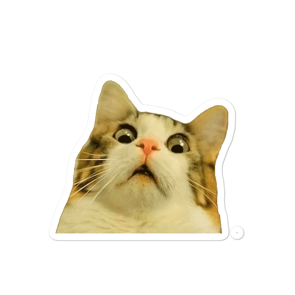 Surprised Cat Sticker Vinyl Meow | eBay