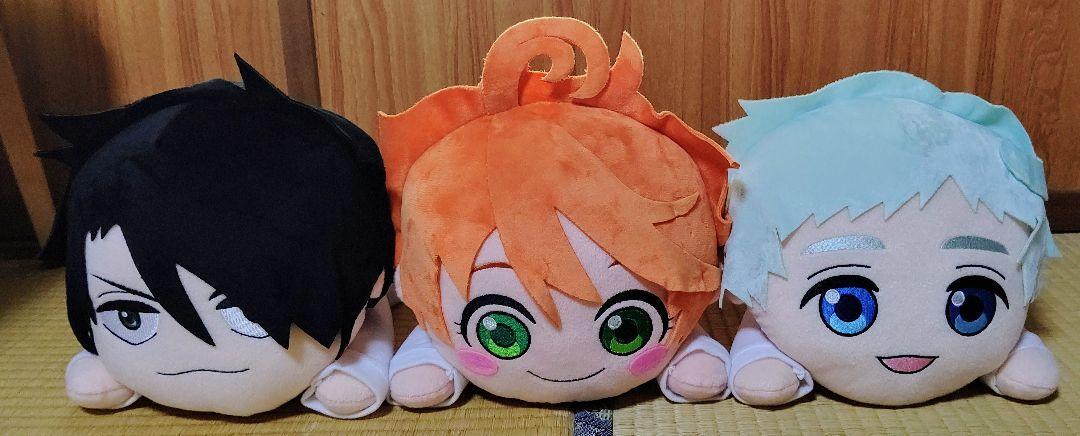 ray nesoberi