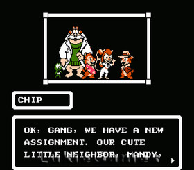 Disney's Chip 'n Dale Rescue Rangers NES Nintendo Game